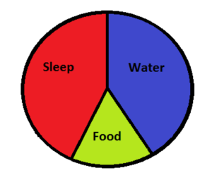 three elements of health